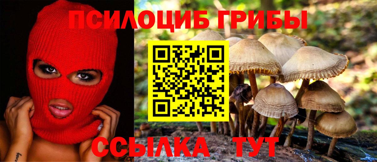 Галлюциногенные грибы MAGIC MUSHROOMS  Галлюциногенные грибы прущие грибы  Дзержинский  Вход с VPN 