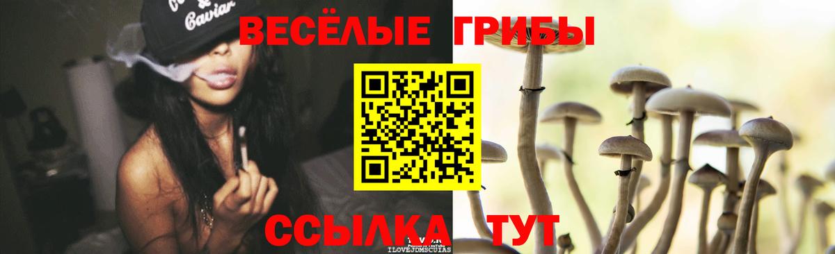 Псилоцибиновые грибы MAGIC MUSHROOMS Дзержинский